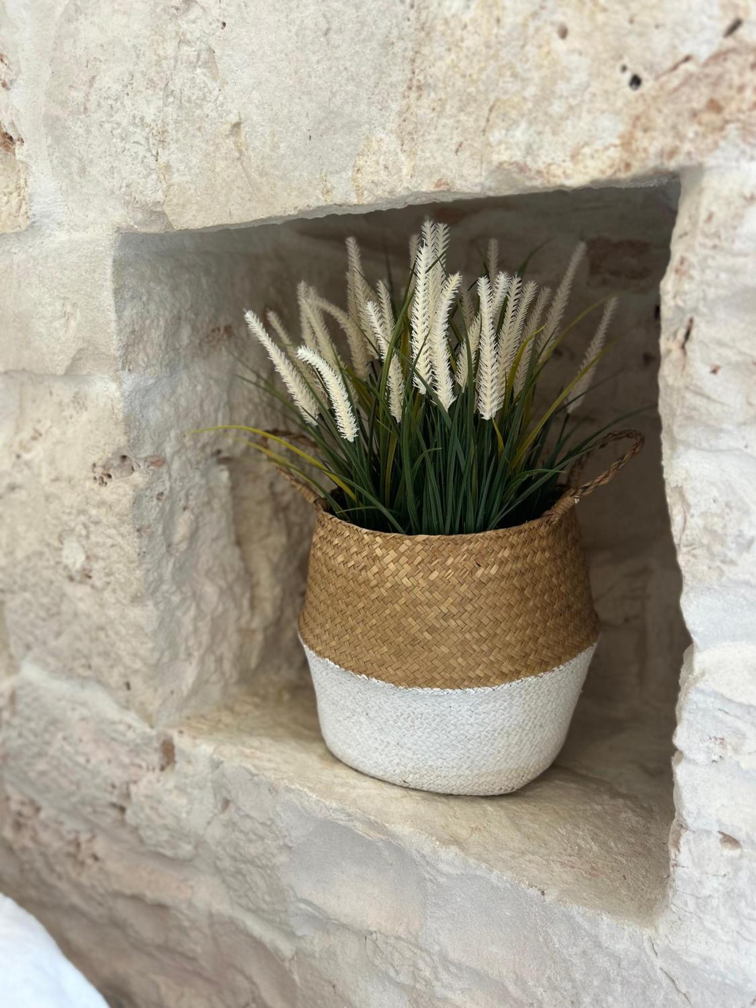 Trulli In Contrada - Monopoli Guest House Exterior photo